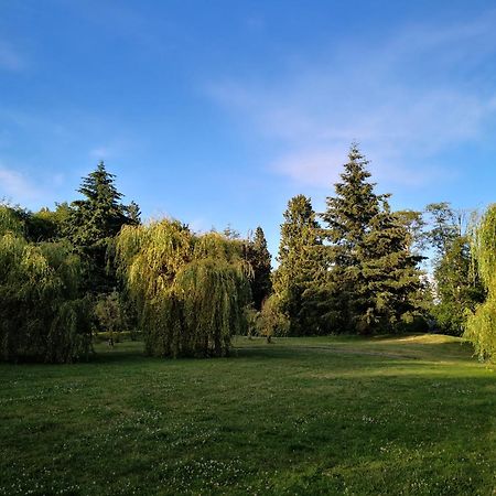 Entire Forest Home Near Nature & Amenities Surrey Eksteriør billede