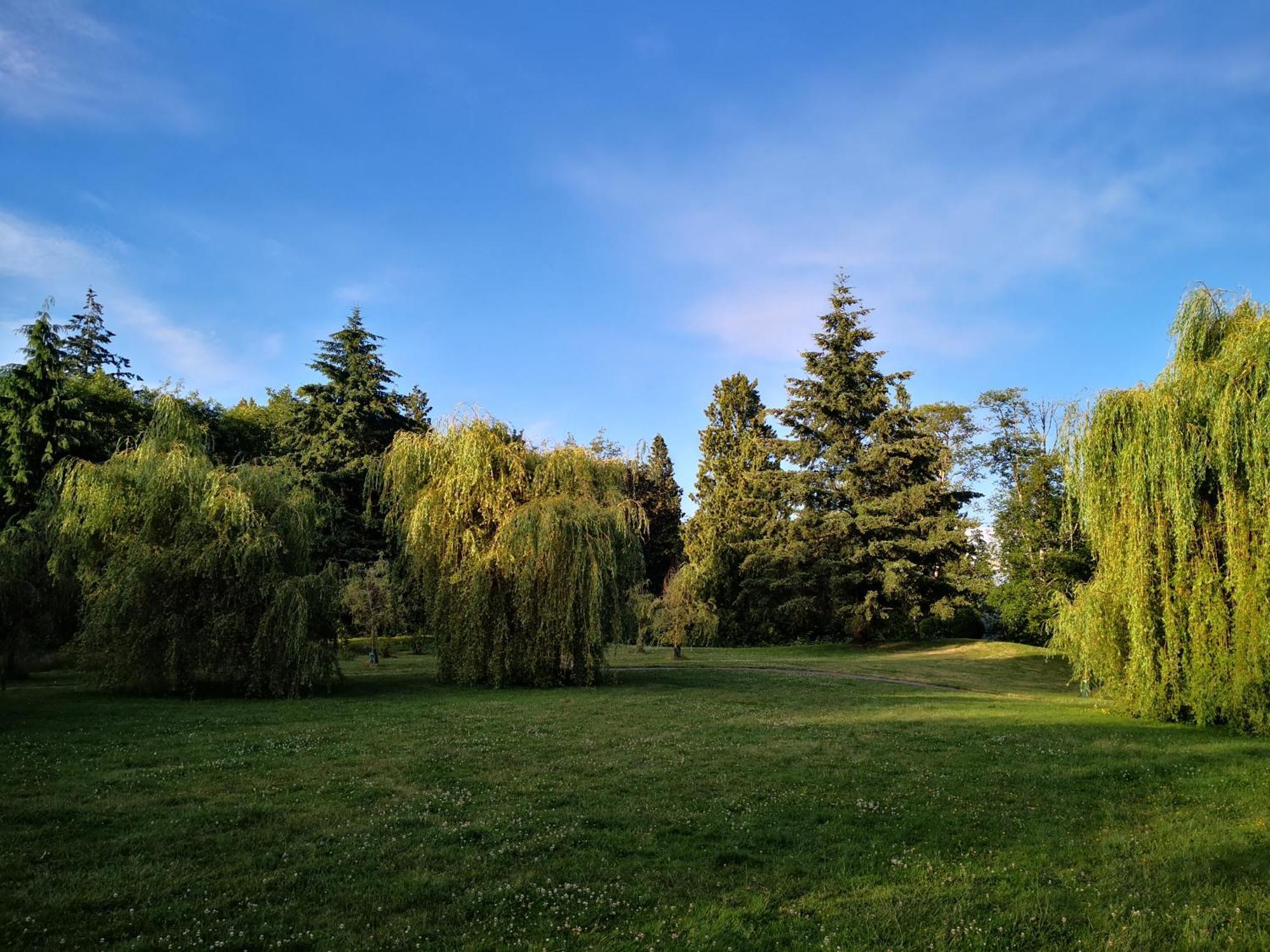Entire Forest Home Near Nature & Amenities Surrey Eksteriør billede
